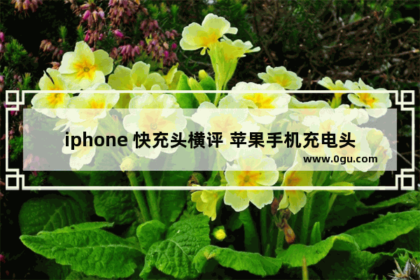 iphone 快充头横评 苹果手机充电头