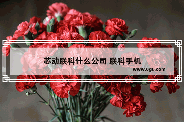 芯动联科什么公司 联科手机