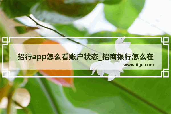 招行app怎么看账户状态_招商银行怎么在网上解挂