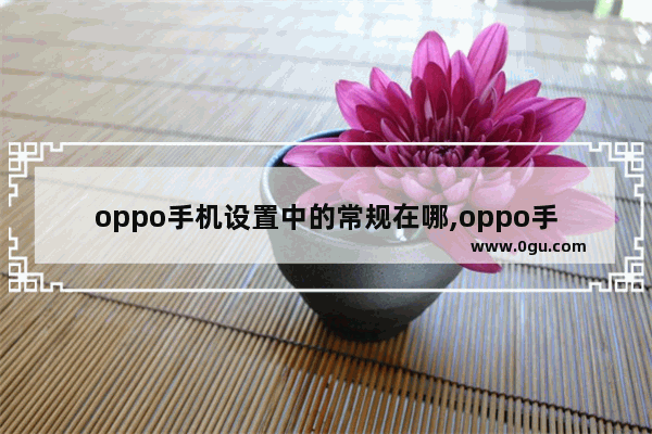 oppo手机设置中的常规在哪,oppo手机设置