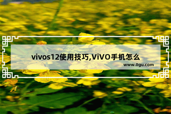 vivos12使用技巧,ViVO手机怎么用