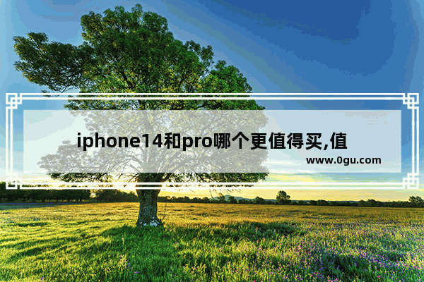 iphone14和pro哪个更值得买,值得入手的手机