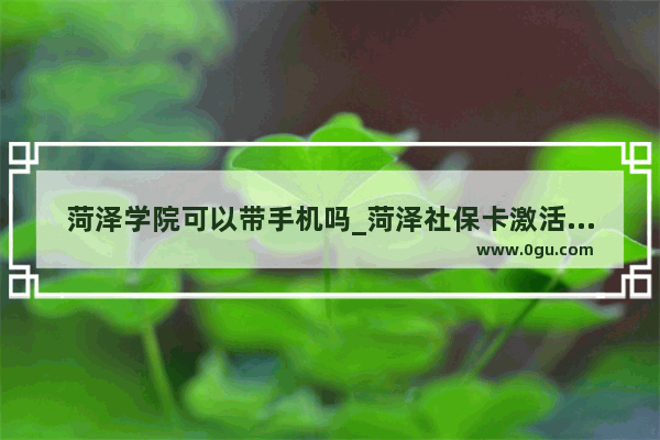 菏泽学院可以带手机吗_菏泽社保卡激活手机流程