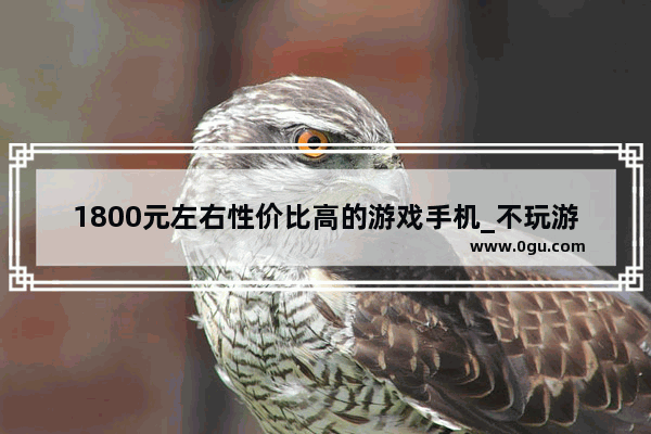 1800元左右性价比高的游戏手机_不玩游戏1500左右性价比高的手机