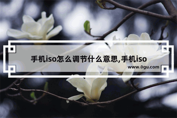 手机iso怎么调节什么意思,手机iso