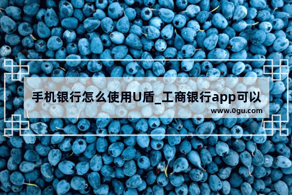 手机银行怎么使用U盾_工商银行app可以办理u盾吗