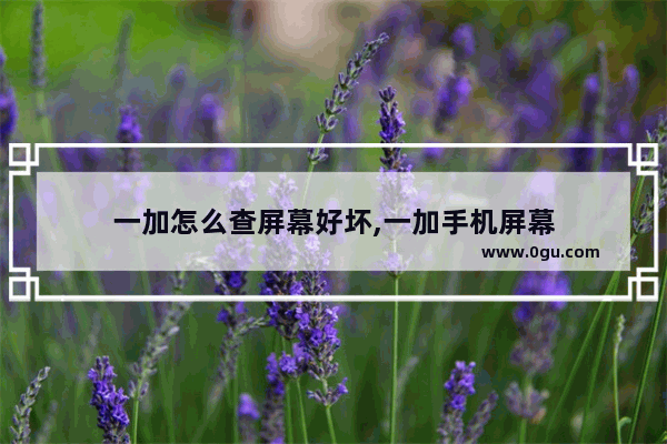 一加怎么查屏幕好坏,一加手机屏幕