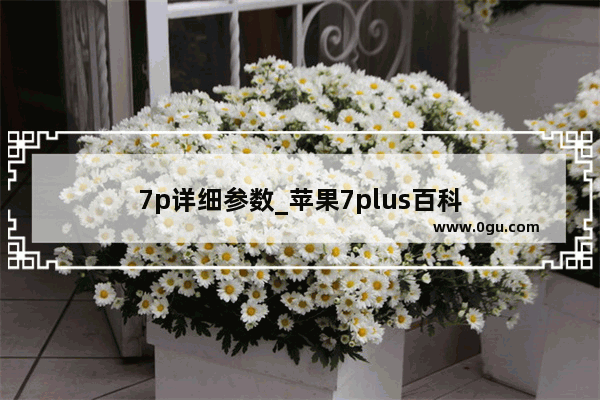 7p详细参数_苹果7plus百科