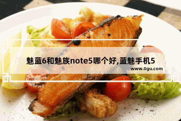 魅蓝6和魅族note5哪个好,蓝魅手机5