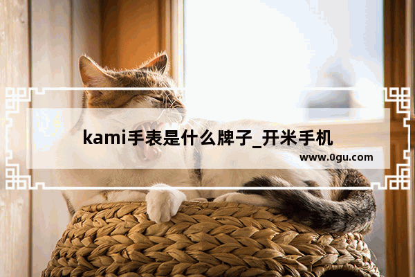 kami手表是什么牌子_开米手机