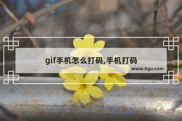 gif手机怎么打码,手机打码