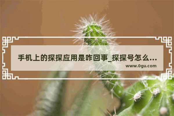 手机上的探探应用是咋回事_探探号怎么搜索添加