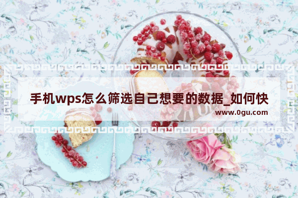 手机wps怎么筛选自己想要的数据_如何快速筛选手机号码和固话