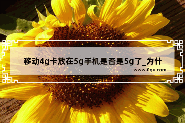 移动4g卡放在5g手机是否是5g了_为什么中国移动无缘无故办理了五g流量