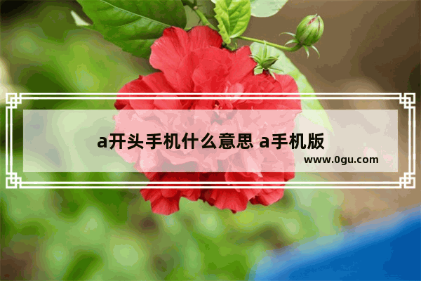 a开头手机什么意思 a手机版