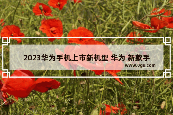 2023华为手机上市新机型 华为 新款手机