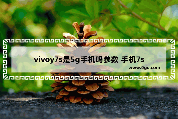 vivoy7s是5g手机吗参数 手机7s