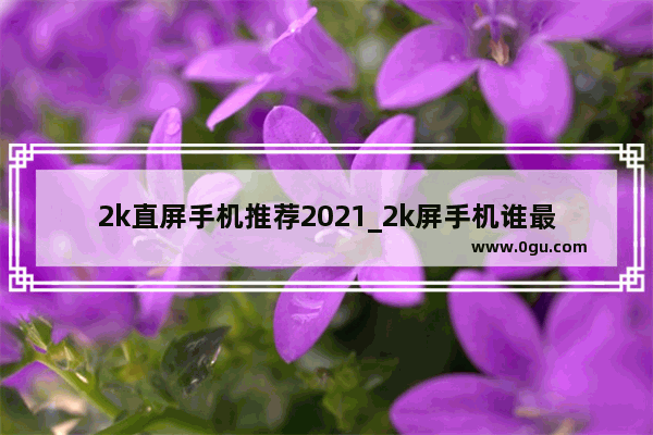 2k直屏手机推荐2021_2k屏手机谁最好