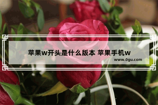 苹果w开头是什么版本 苹果手机w