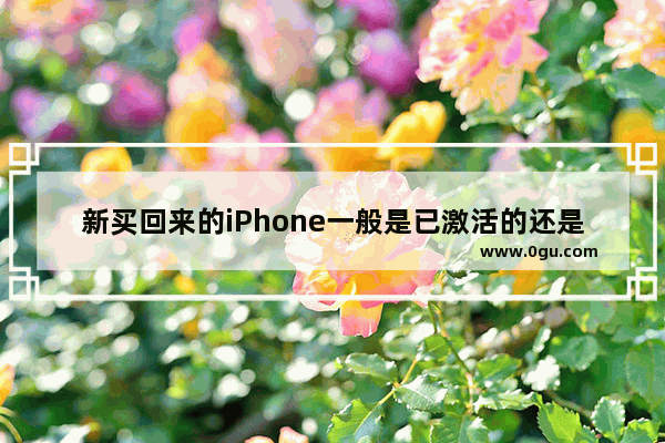 新买回来的iPhone一般是已激活的还是未激活的_苹果手机激活中有应用跟数据怎么选 谢谢