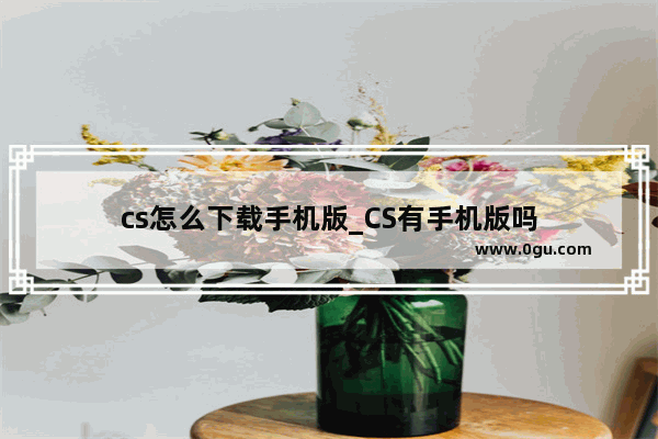 cs怎么下载手机版_CS有手机版吗