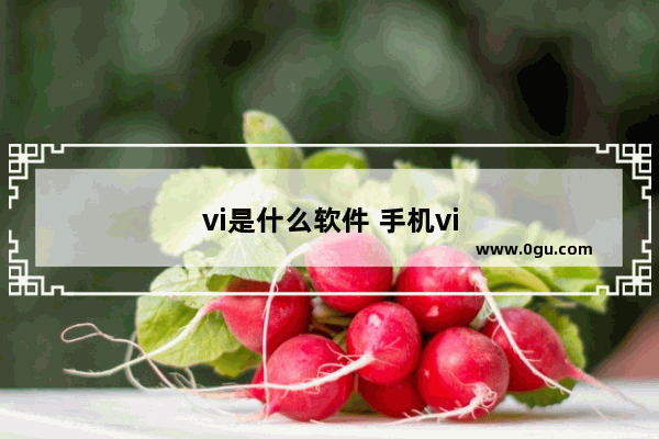 vi是什么软件 手机vi