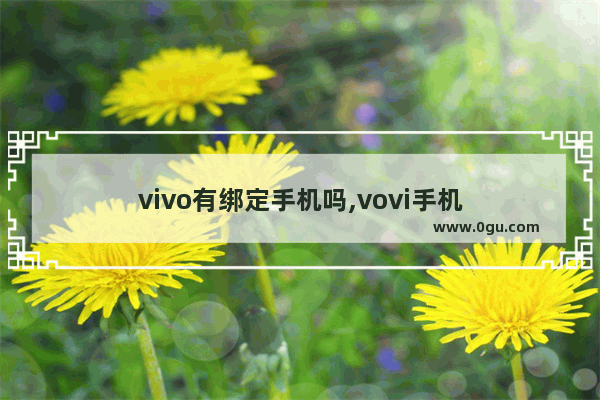 vivo有绑定手机吗,vovi手机