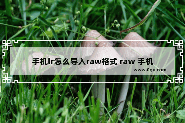 手机lr怎么导入raw格式 raw 手机