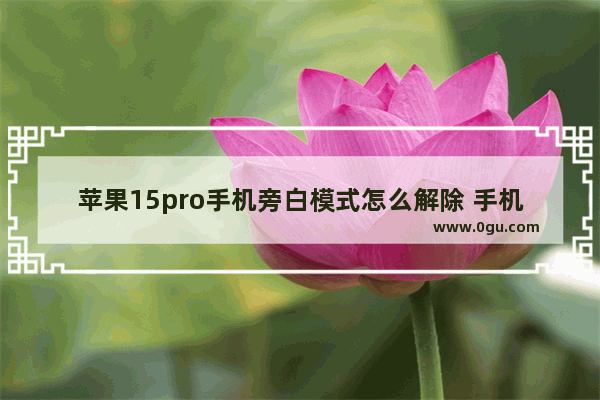 苹果15pro手机旁白模式怎么解除 手机旁白