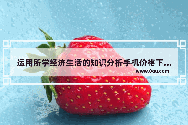 运用所学经济生活的知识分析手机价格下降原因是什么 手机经济