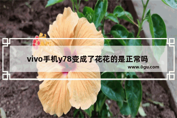 vivo手机y78变成了花花的是正常吗 花花手机