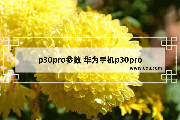 p30pro参数 华为手机p30pro