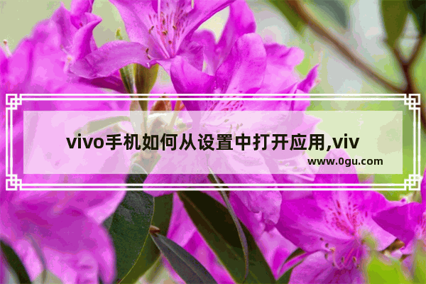 vivo手机如何从设置中打开应用,vivo手机怎么打开