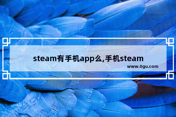 steam有手机app么,手机steam游戏