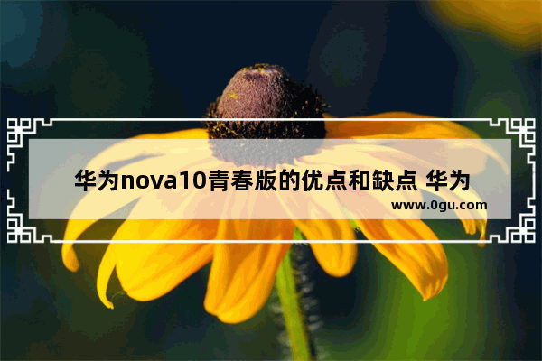 华为nova10青春版的优点和缺点 华为青春手机