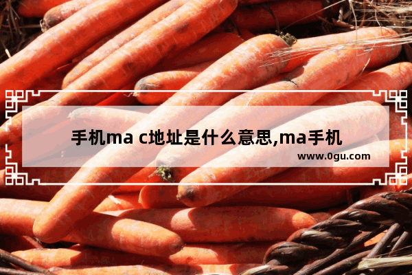 手机ma c地址是什么意思,ma手机