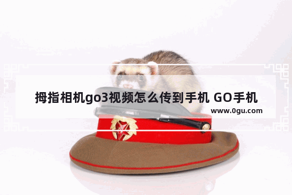 拇指相机go3视频怎么传到手机 GO手机