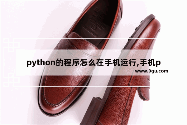 python的程序怎么在手机运行,手机python