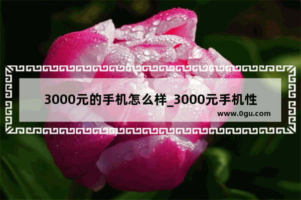 3000元的手机怎么样_3000元手机性价比推荐