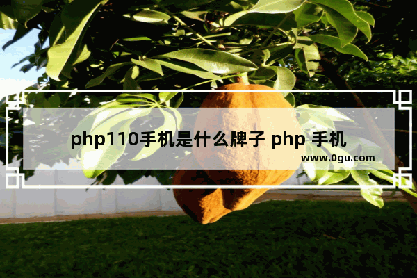 php110手机是什么牌子 php 手机