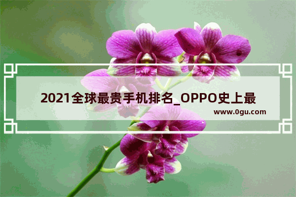 2021全球最贵手机排名_OPPO史上最贵的手机是什么系列