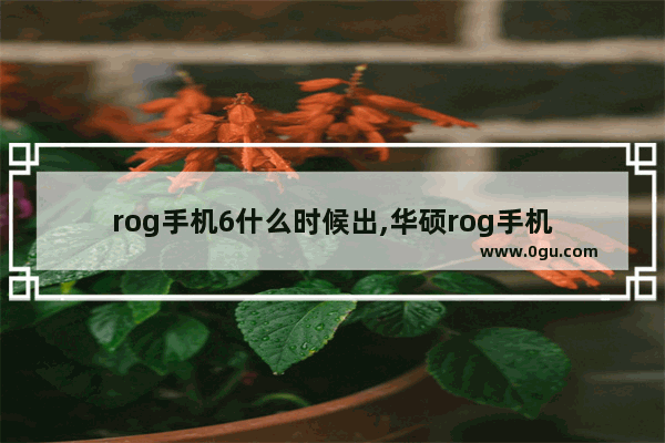 rog手机6什么时候出,华硕rog手机