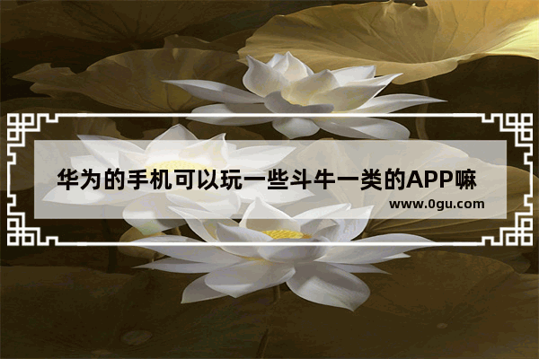 华为的手机可以玩一些斗牛一类的APP嘛 手机斗牛