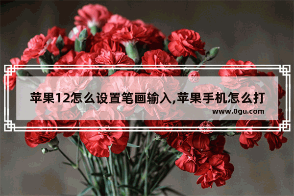 苹果12怎么设置笔画输入,苹果手机怎么打字