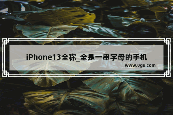 iPhone13全称_全是一串字母的手机品牌