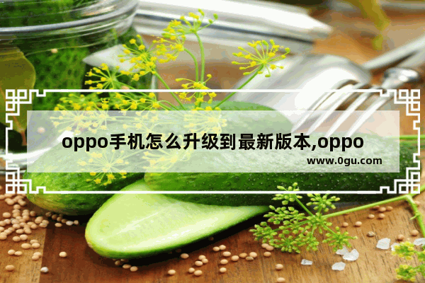 oppo手机怎么升级到最新版本,oppo手机升级