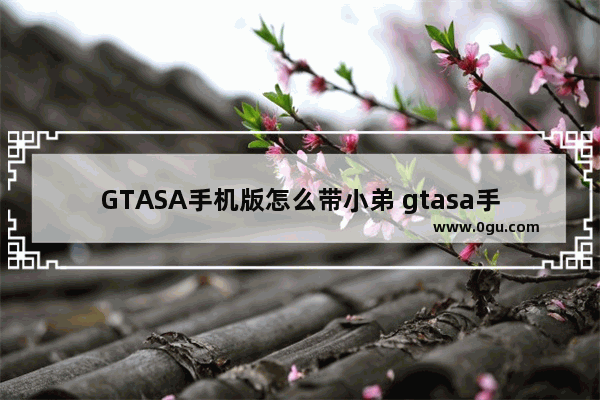 GTASA手机版怎么带小弟 gtasa手机版