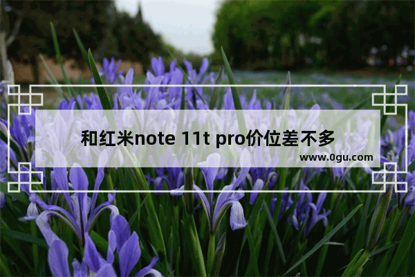 和红米note 11t pro价位差不多的手机 差不多的手机