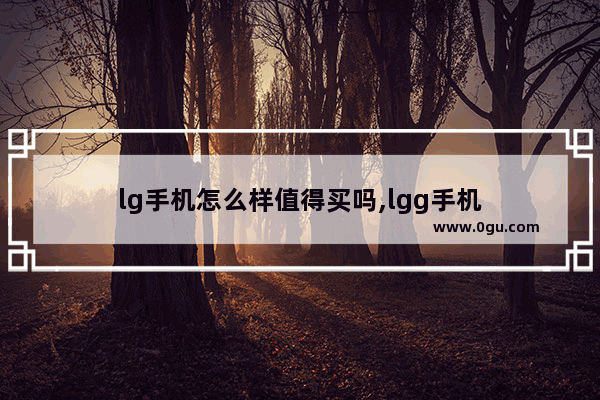 lg手机怎么样值得买吗,lgg手机