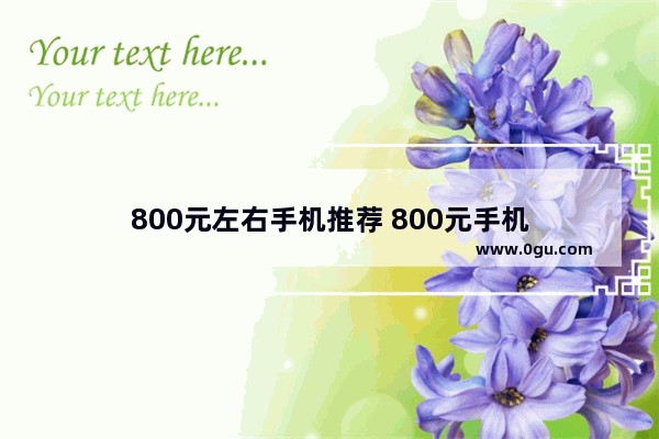 800元左右手机推荐 800元手机